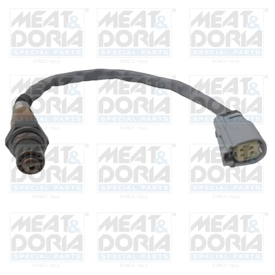Oxygen Sensor